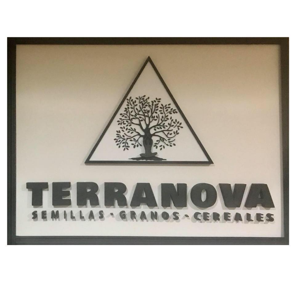 Terranova Mercedes