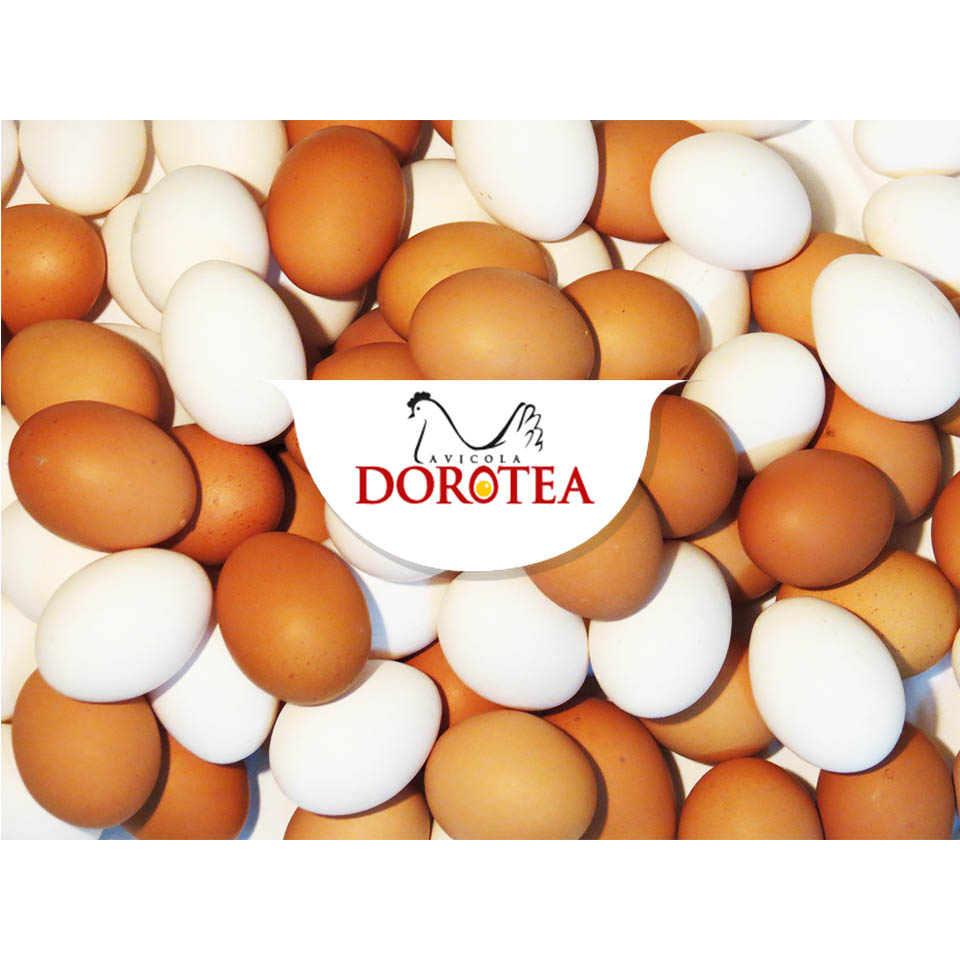 Producción de huevos en Uruguay, Avícola Dorotea