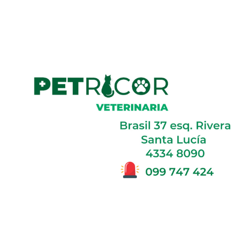 Veterinaria Petricor Santa Lucía