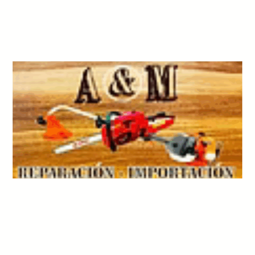 A&M Reparación Importación