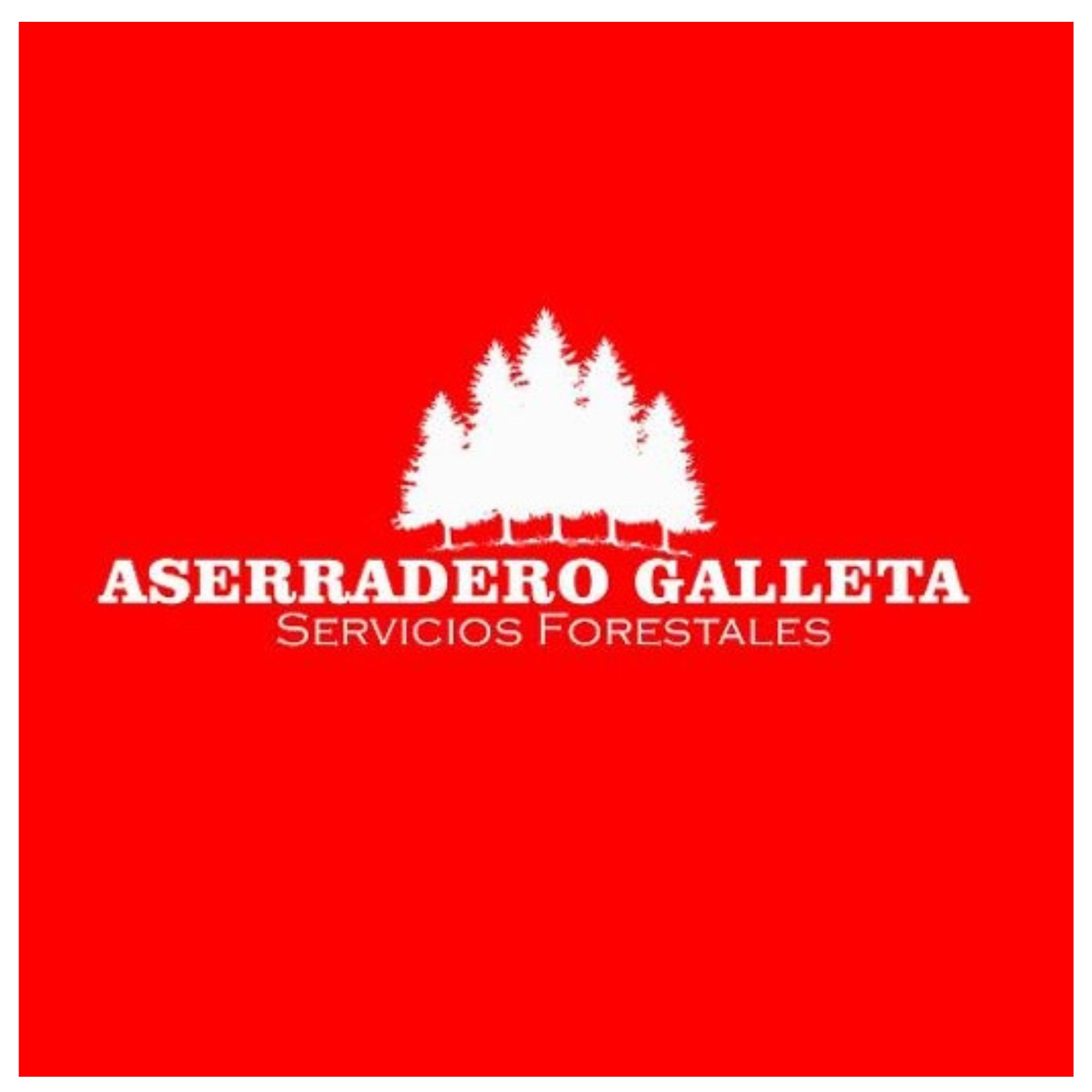 Aserradero Galletaen Rivera