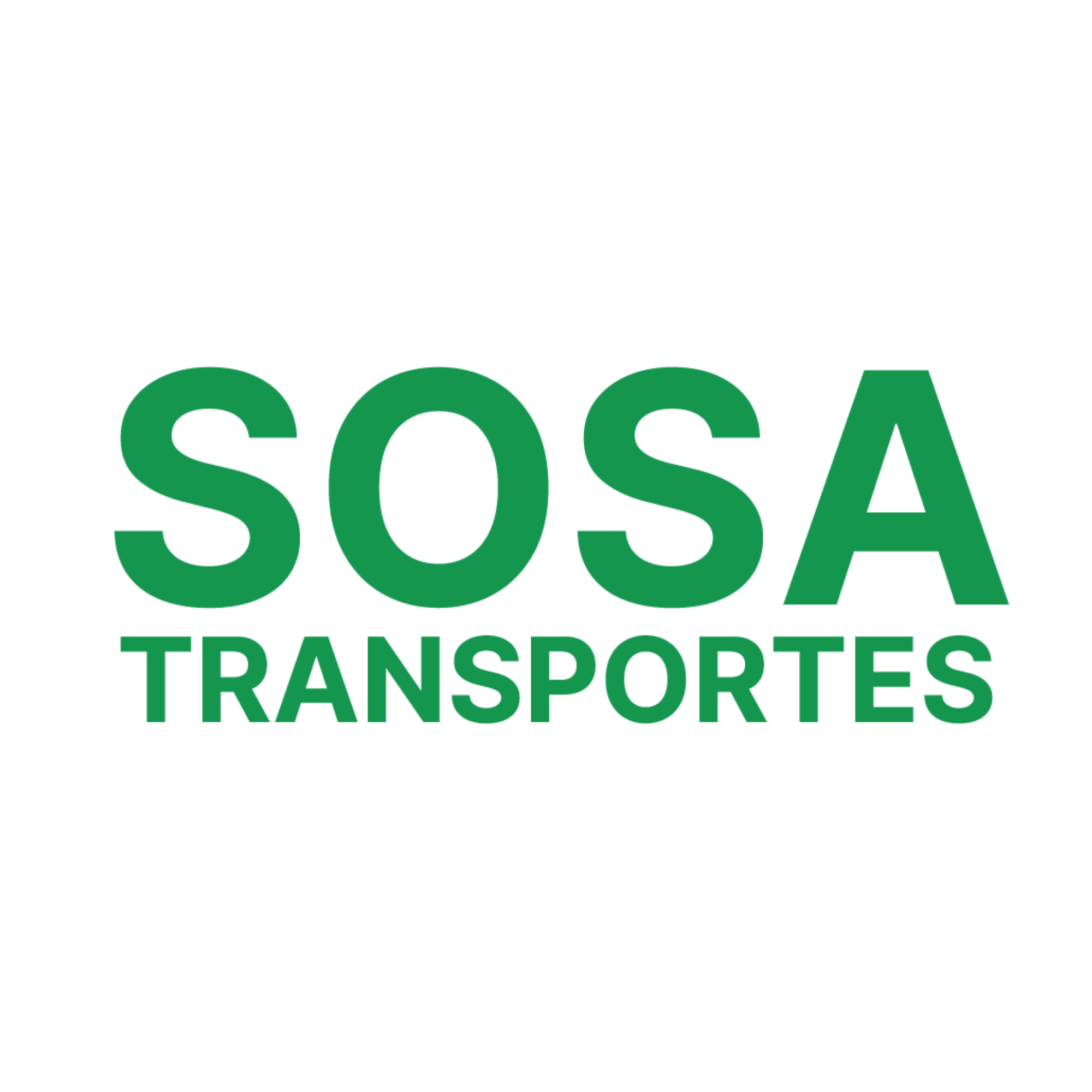 Richard Sosa Transportes en Flores