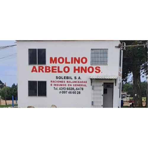 Molino Arbelo Hnos. Fábrica en San Bautista