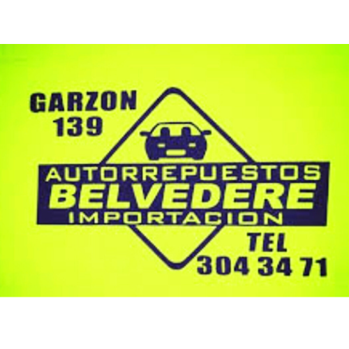 Auto Repuestos Belvedere