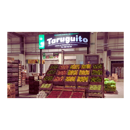 Taruguito en la UAM
