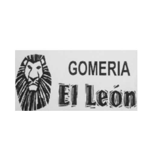 Gomería el León en Rocha