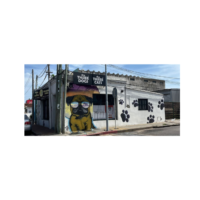 Consentidos Tienda para Mascotas en Maldonado