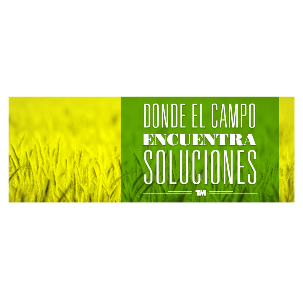 Taller Martinez en Dolores