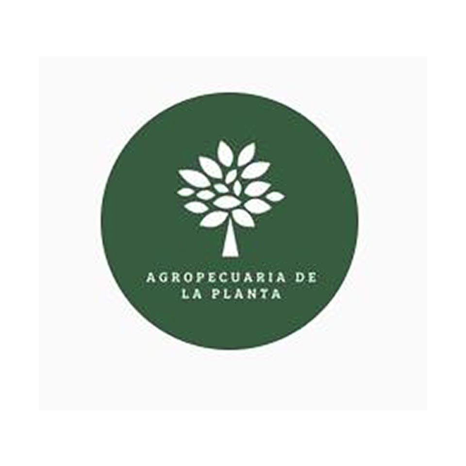 AGROPECUARIA DE LA PLANTA EN COLON