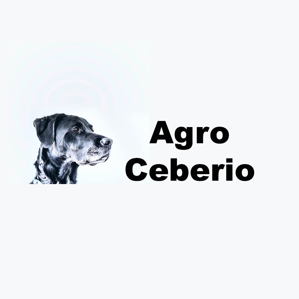 Agro Ceberio en San Carlos