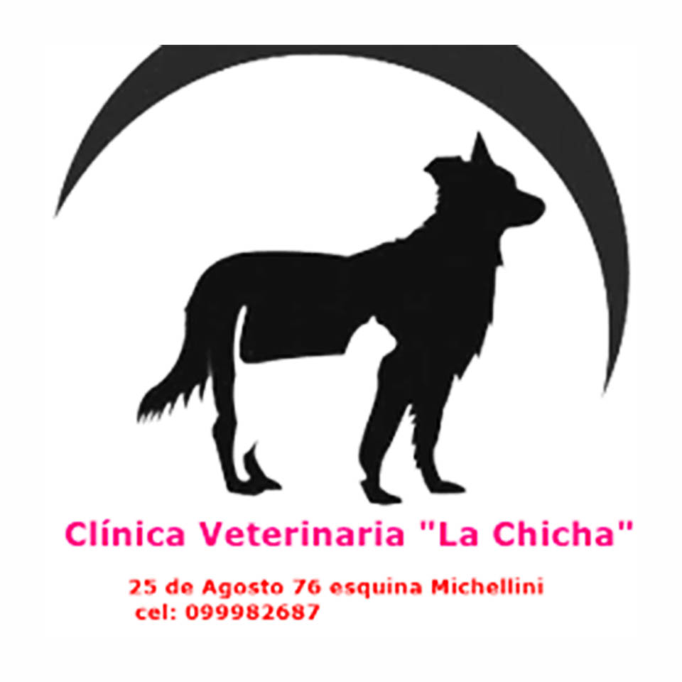 Clínica Veterinaria "La Chicha" en Tacuarembó