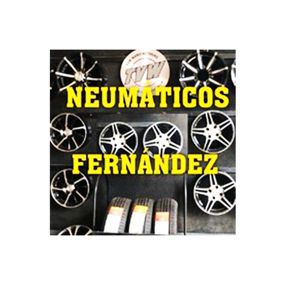 Neumáticos Fernández