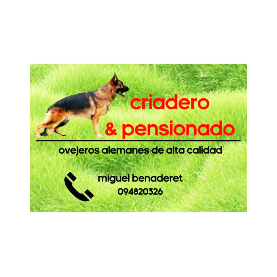 DOG SITTER CRIADERO Y HOTEL CANINO
