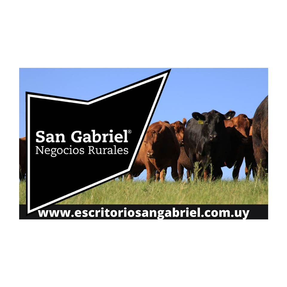 San Gabriel Negocios Rurales en Florida