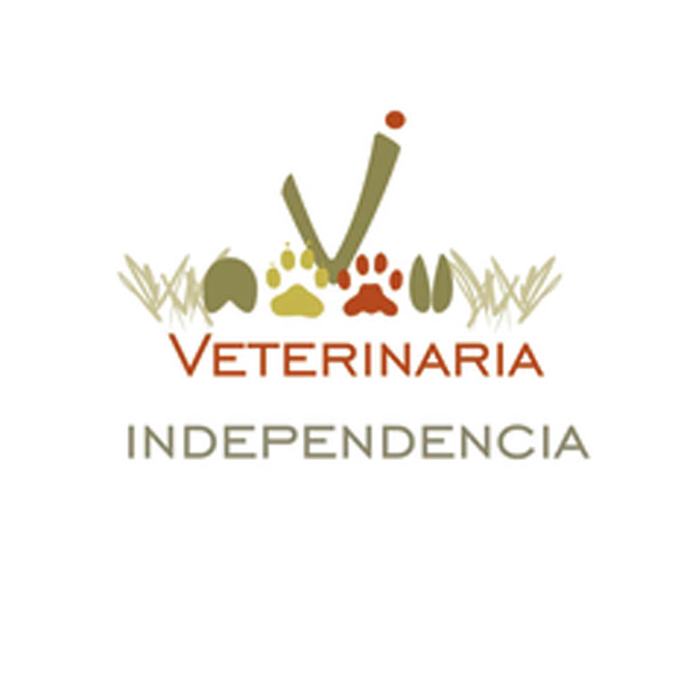 Veterinaria Independencia en Melo