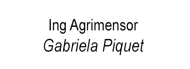 Ing Agrimensor Gabriela Piquet